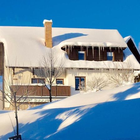 Apartments In Harrachov/Riesengebirge 2300 Екстер'єр фото