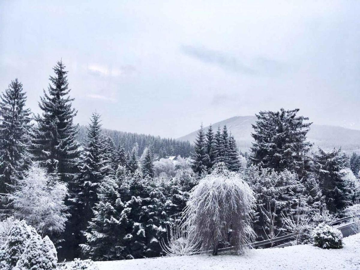 Apartments In Harrachov/Riesengebirge 2300 Екстер'єр фото